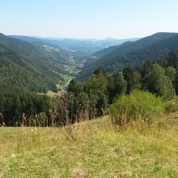 les-reflets-du-val-dargent-ste-marie-aux-mines-haut-rhin-rcj1c