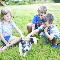 hidcote-manor-farm-chipping-campden-cdrav