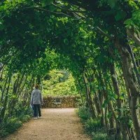 hidcote-manor-farm-chipping-campden-juxjo