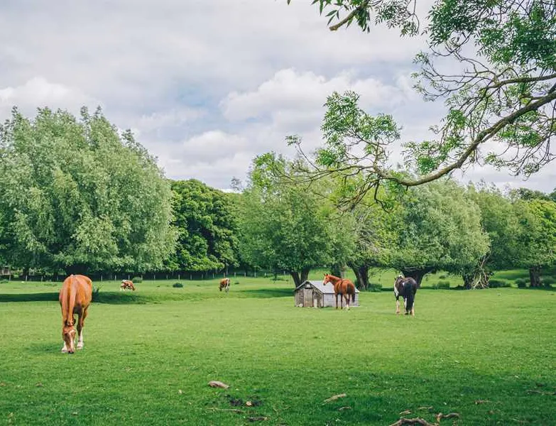 hidcote-manor-farm-chipping-campden-t4xej