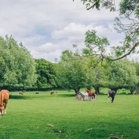 hidcote-manor-farm-chipping-campden-t4xej
