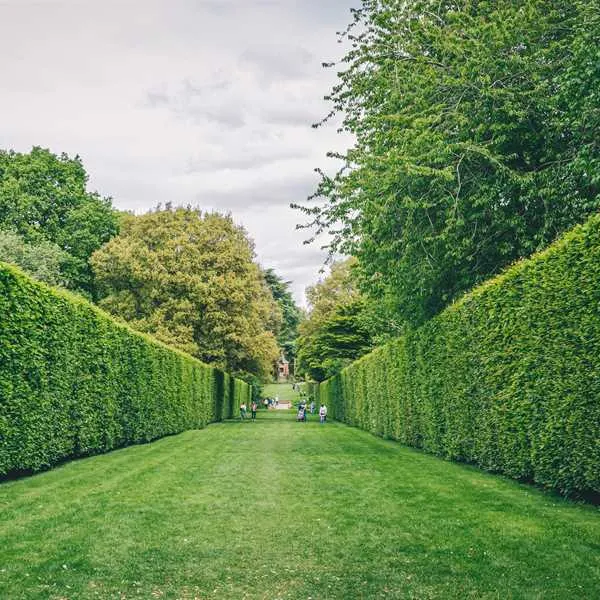 hidcote-manor-farm-chipping-campden-ucj1o
