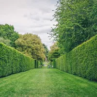 hidcote-manor-farm-chipping-campden-ucj1o