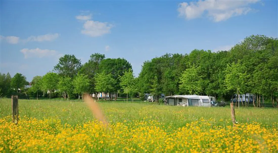 minicipal-en-bagatelle-tournus-nerdu