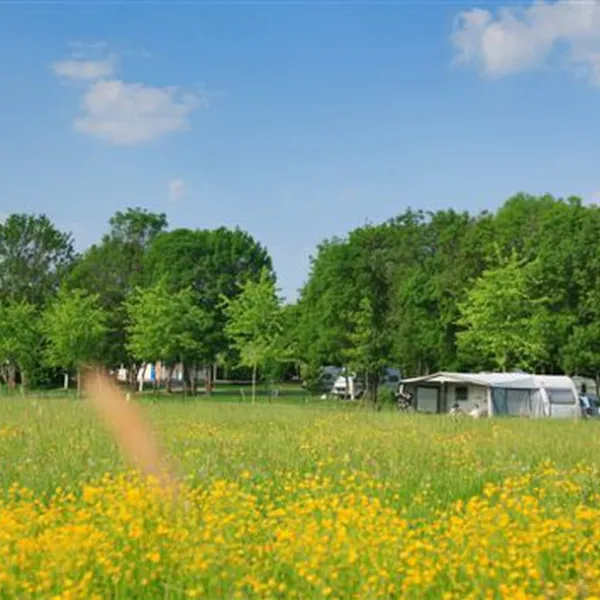 minicipal-en-bagatelle-tournus-nerdu
