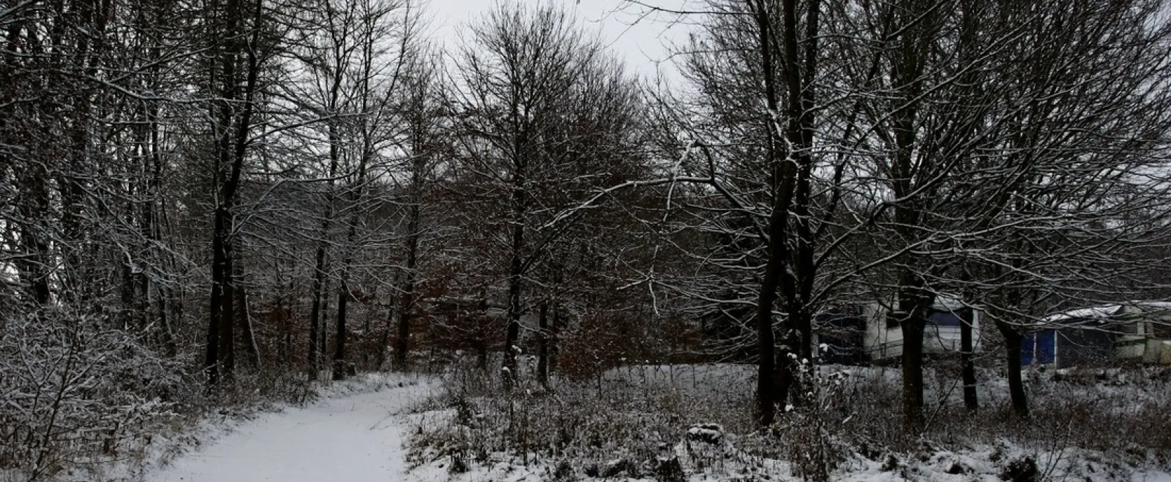 Schafbachmuehle