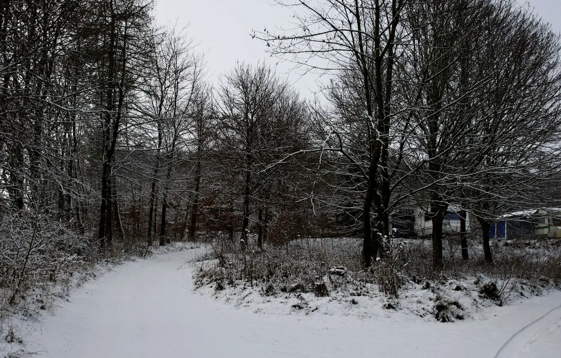 schafbachmuehle-schleiden-gemuumlnd-cgalr