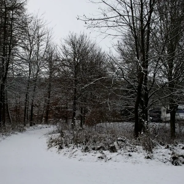 schafbachmuehle-schleiden-gemuumlnd-cgalr