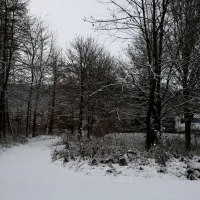 schafbachmuehle-schleiden-gemuumlnd-cgalr