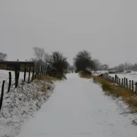 schafbachmuehle-schleiden-gemuumlnd-fxoo7