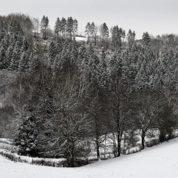 schafbachmuehle-schleiden-gemuumlnd-odgjk