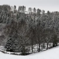 schafbachmuehle-schleiden-gemuumlnd-odgjk