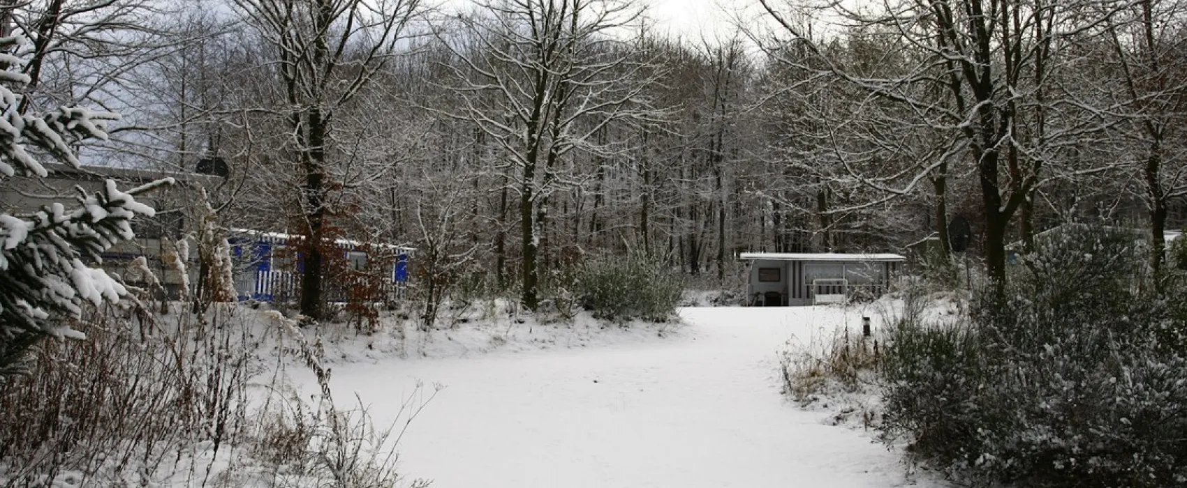 Schafbachmuehle