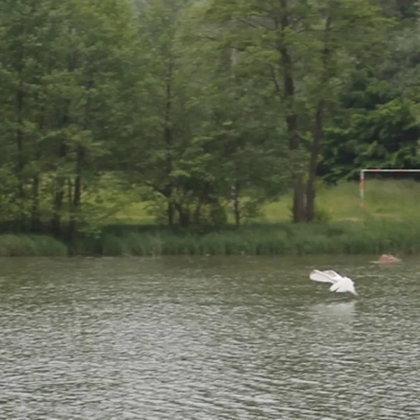 aux-cygnes-dopale-blangy-sur-bresle-ugqtr