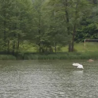 aux-cygnes-dopale-blangy-sur-bresle-ugqtr