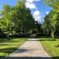 la-foret-aizenay-vendee-75sth