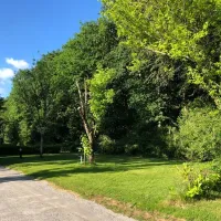 la-foret-aizenay-vendee-9zhwf
