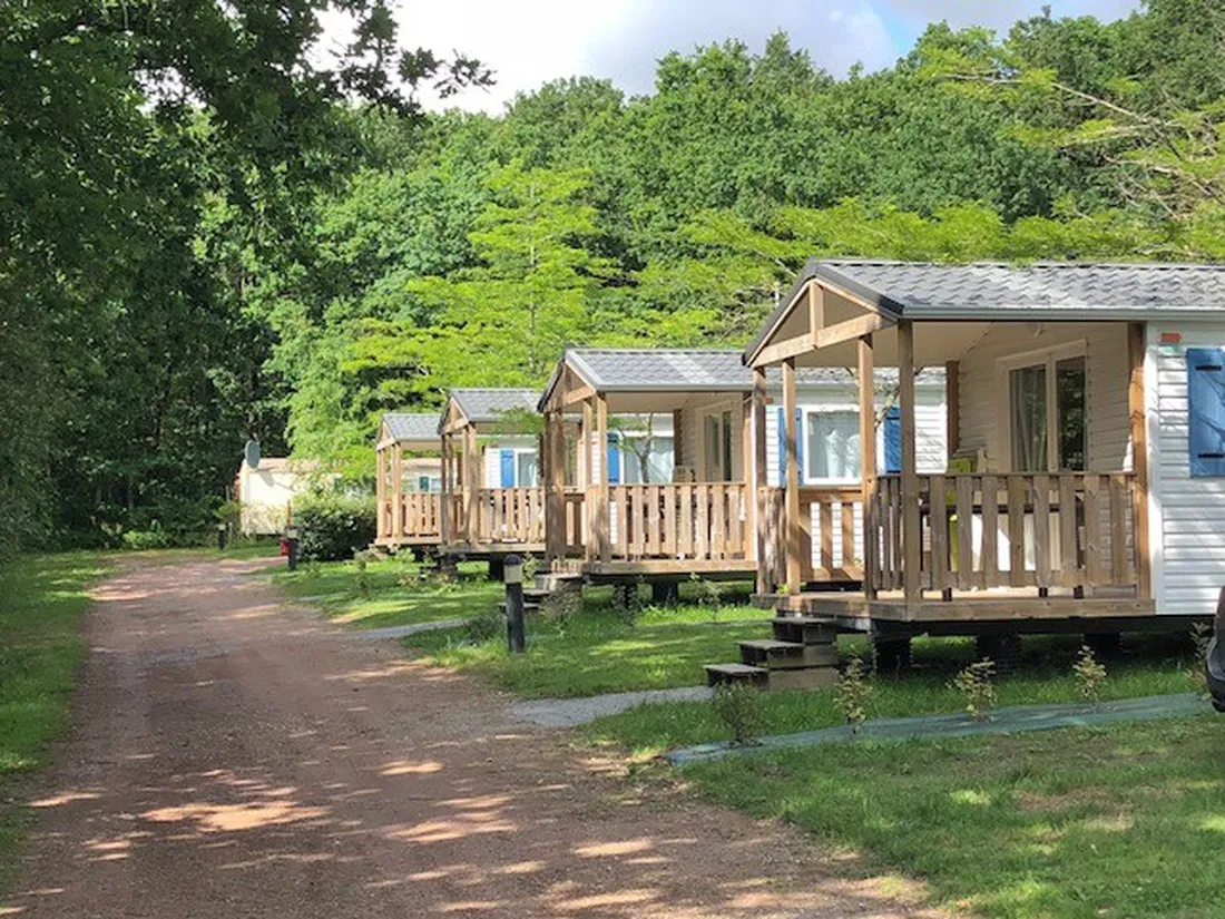 la-foret-aizenay-vendee-j4rci