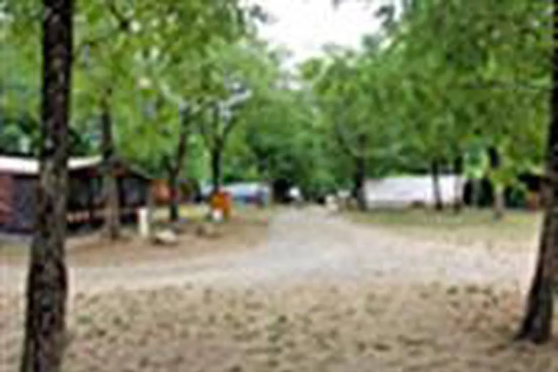 camping-les-magnanarelles-pont-dherault-btjdz