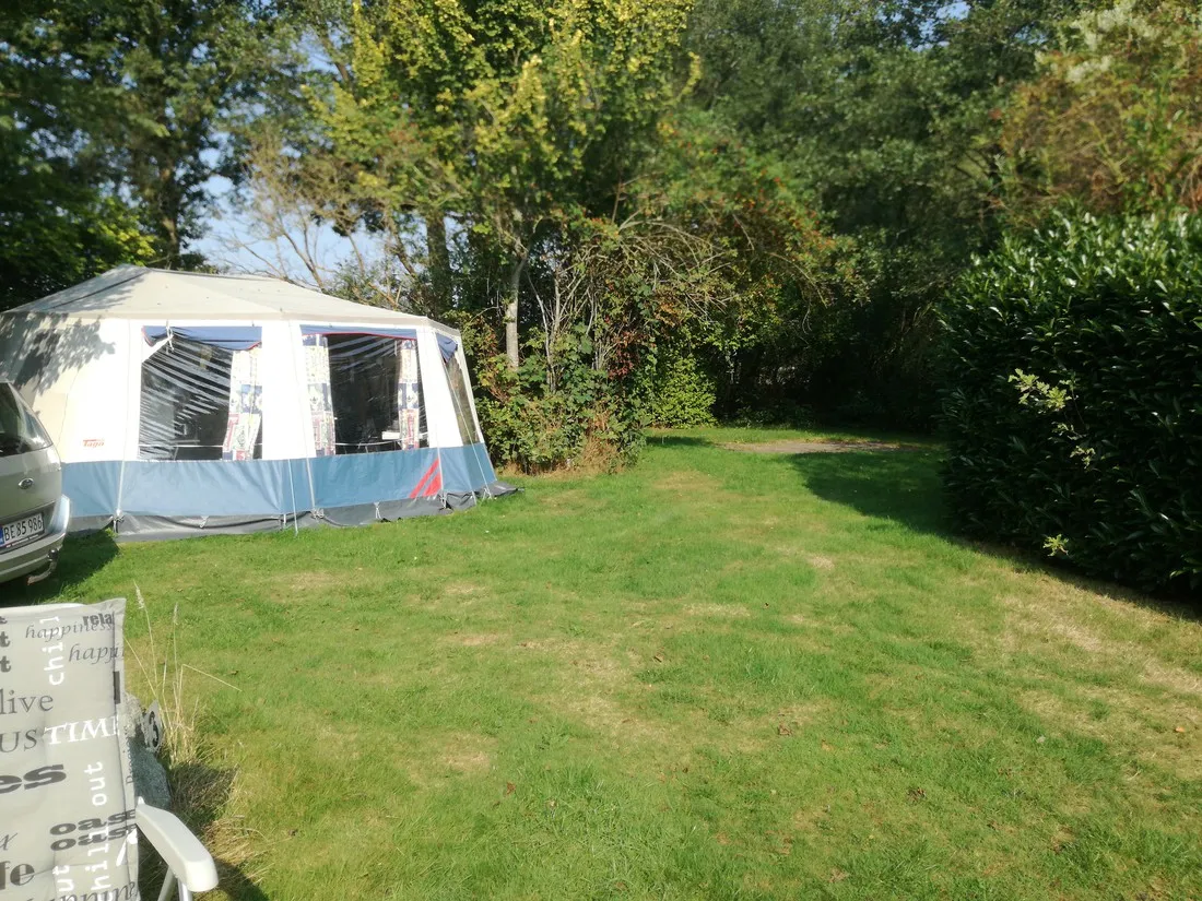 wyshorne-wijster-blhht