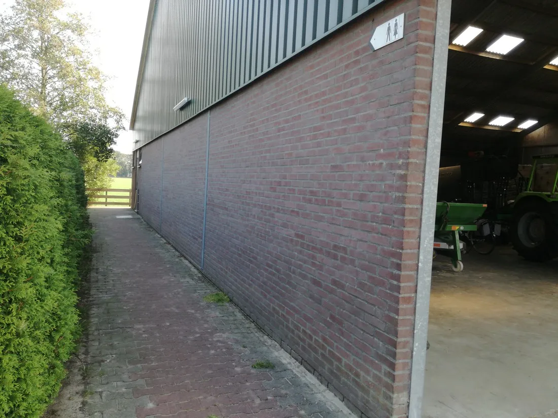wyshorne-wijster-d6qen