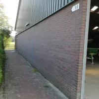wyshorne-wijster-d6qen