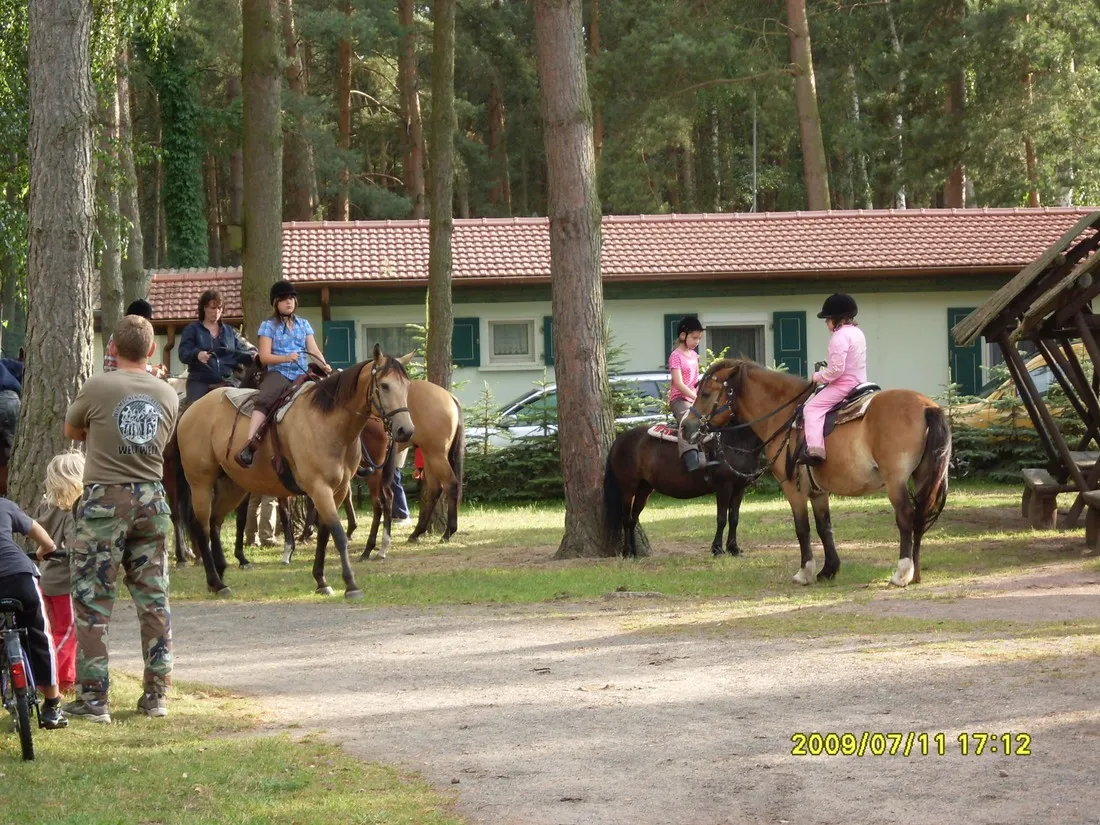 am-schonfelder-see-kamern-lyigq