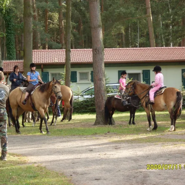 am-schonfelder-see-kamern-lyigq