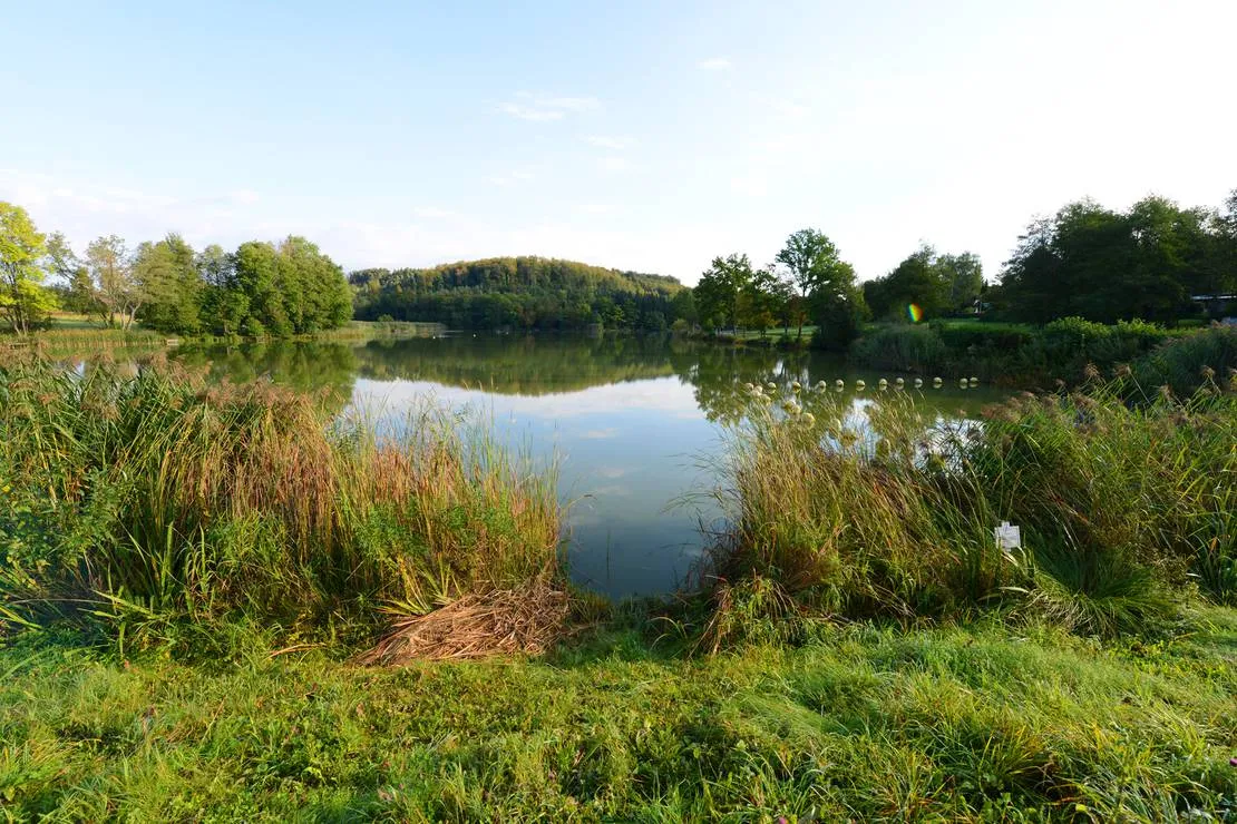 camping-neumuhlsee-waldenburg-brjzv