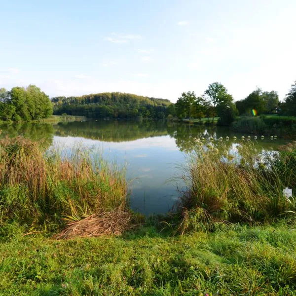 camping-neumuhlsee-waldenburg-brjzv
