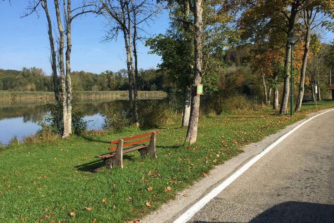 camping-neumuhlsee-waldenburg-lwfiw