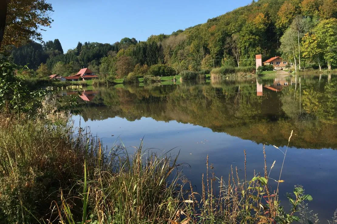 camping-neumuhlsee-waldenburg-qntah