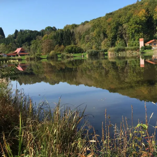 camping-neumuhlsee-waldenburg-qntah