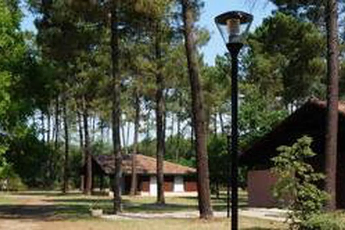 camping-municipalde-larriu-pissos-ecrfk
