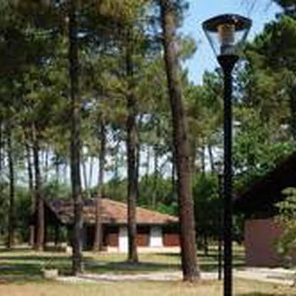 camping-municipalde-larriu-pissos-ecrfk