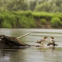 moto-przystan-camping-brochow-apvny