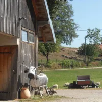 camping-a-la-ferme-aux-moineaux-dommartin-les-remiremont-4xw25