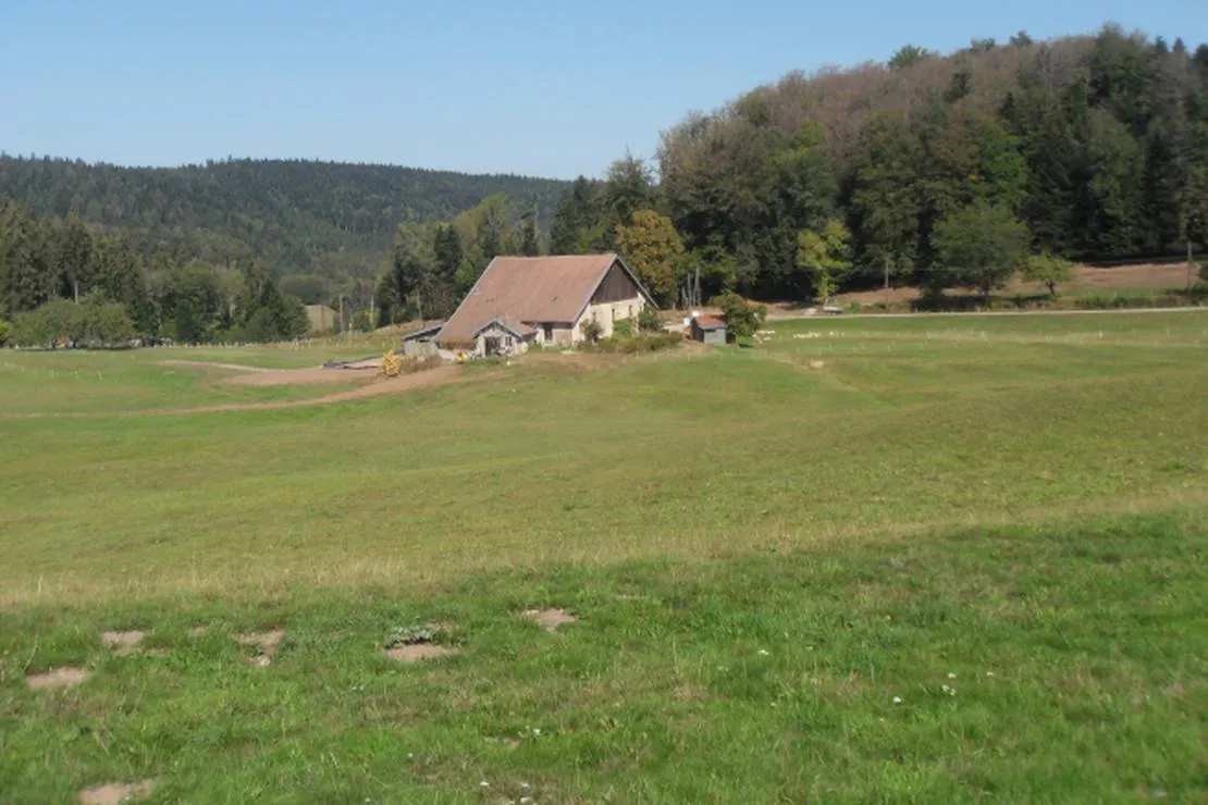 camping-a-la-ferme-aux-moineaux-dommartin-les-remiremont-adoid