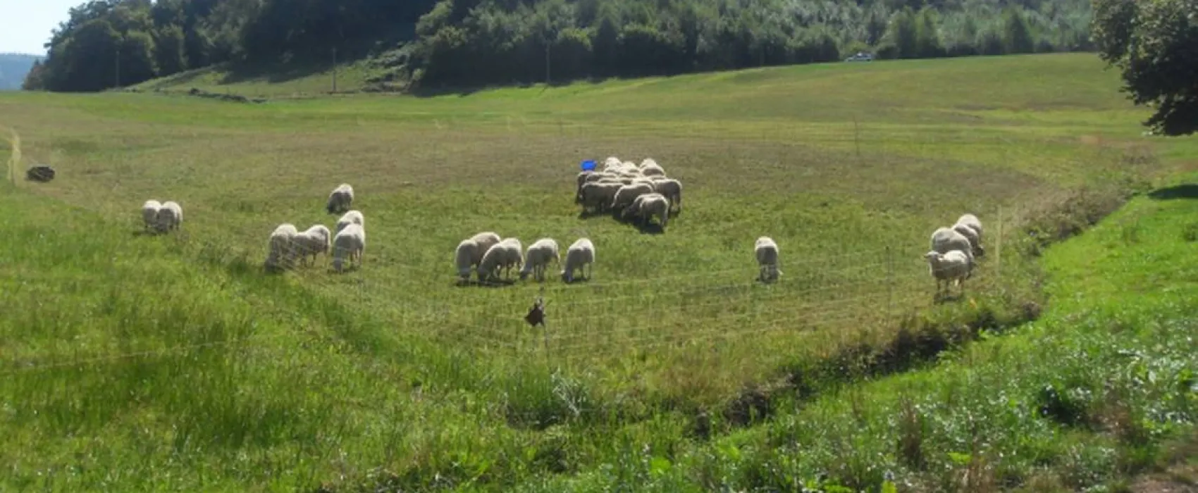 Camping à la ferme Aux Moineaux