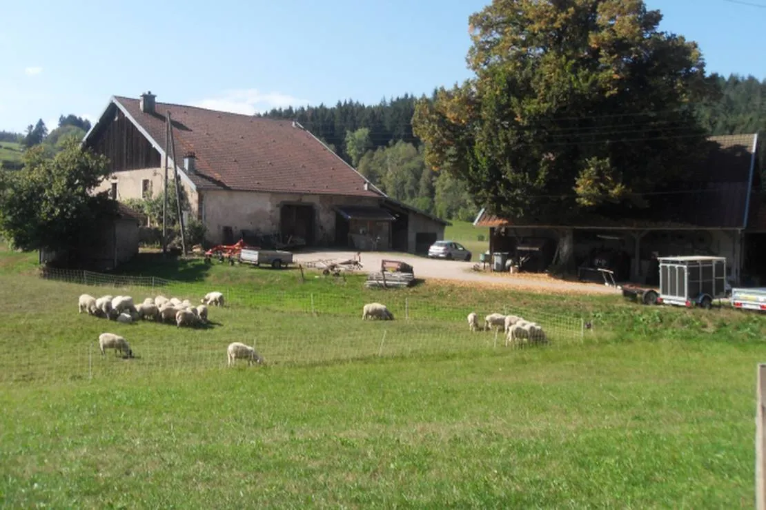 camping-a-la-ferme-aux-moineaux-dommartin-les-remiremont-e4qry