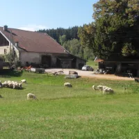 Camping à la ferme Aux Moineaux