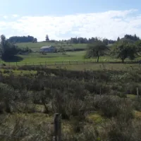 camping-a-la-ferme-aux-moineaux-dommartin-les-remiremont-khaqb