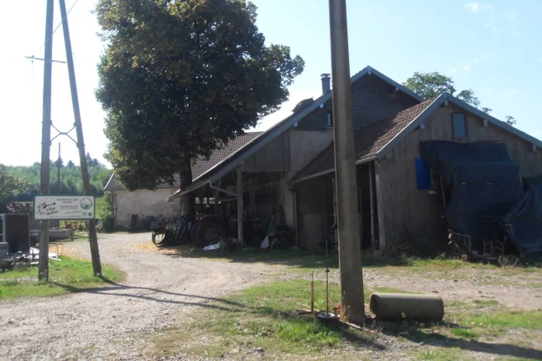camping-a-la-ferme-aux-moineaux-dommartin-les-remiremont-mj10w