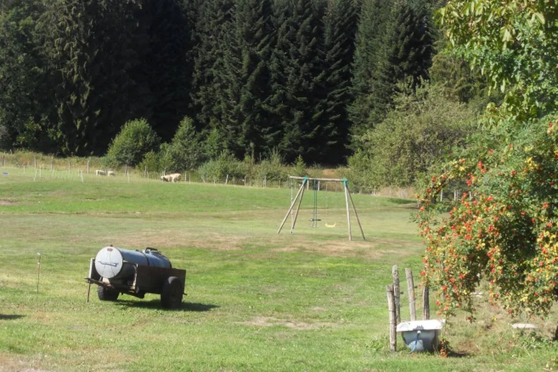 camping-a-la-ferme-aux-moineaux-dommartin-les-remiremont-mp54s