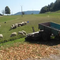 camping-a-la-ferme-aux-moineaux-dommartin-les-remiremont-s0bzc