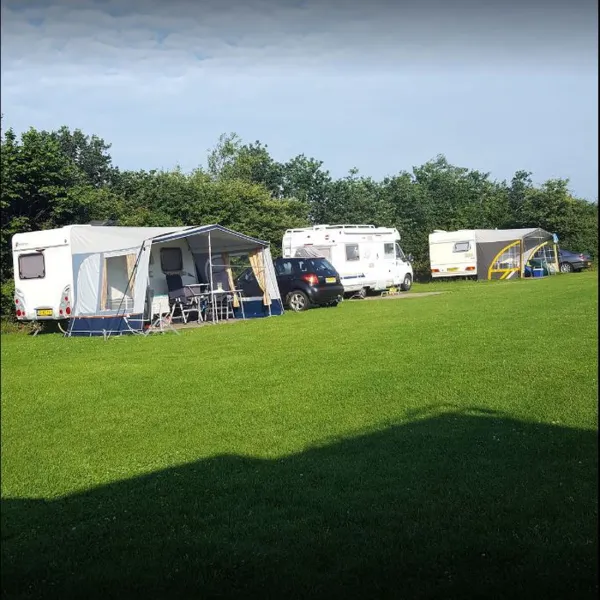 t-boerenland-svr-wapse-n1iwh