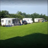 t-boerenland-svr-wapse-n1iwh