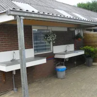 t-boerenland-svr-wapse-qfa1x