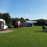 t-boerenland-svr-wapse-z8v5w