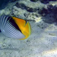 ecolodge-nakari-village-marsa-alam-7267e